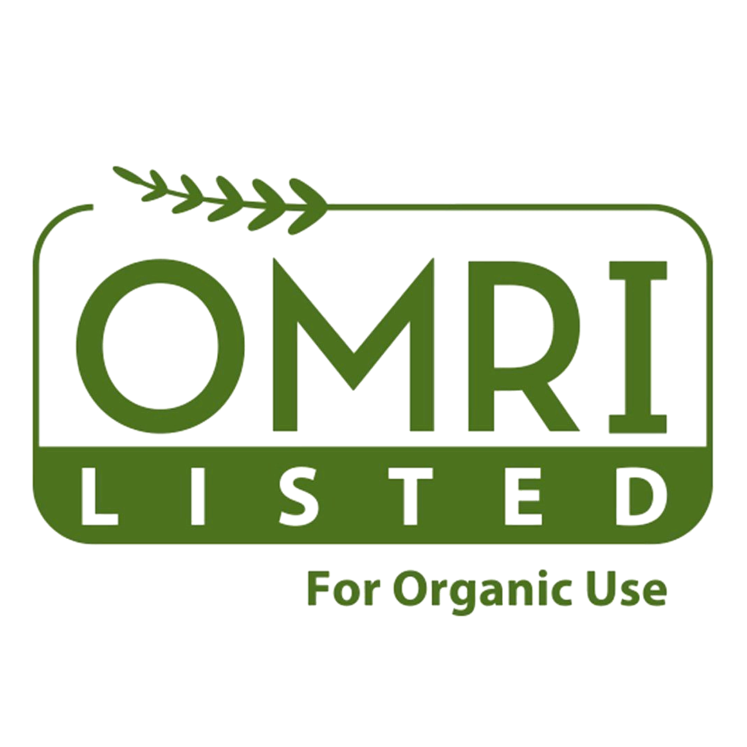 Mesa de trabajo 1 (1)